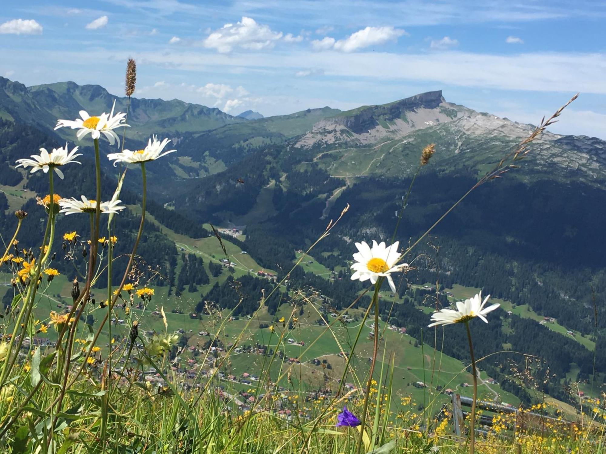 Apartament Sonnenstern